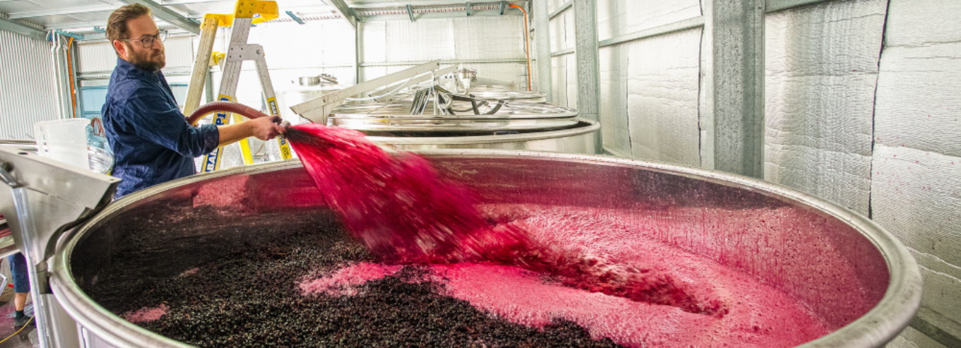 Tenafeate Creek Wines